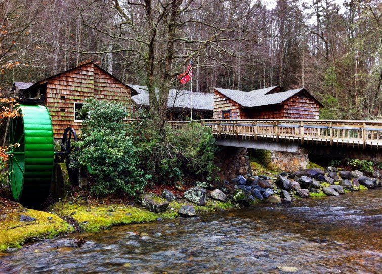 Roan Mountain State Park, Tennessee, USA